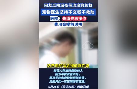 博主英勇救援流浪狗：遭遇冷眼，他却挺身而出！