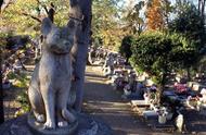 法国的宠物墓地：超40万动物的安宁之地