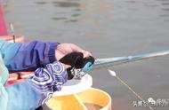 全面解析：台钓中最常用的五种调漂技巧，新手钓鱼者必看