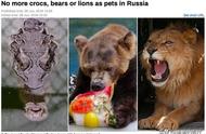 俄罗斯颁布养熊新规定：养熊不再是宠物的选择