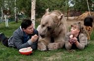 战斗民族的独特宠物：俄罗斯夫妇与熊的故事