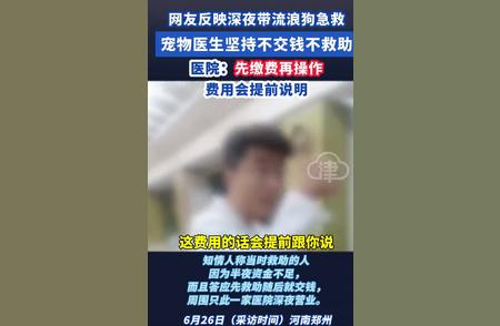 博主救助流浪狗遭遇困境：宠物医生拒绝救治引发争议！