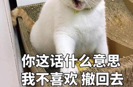 猫界最流行的名字大盘点，你的猫咪有没有‘撞名’？