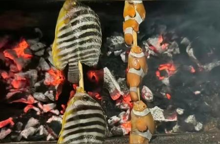热带鱼可食用性探讨：真相大揭秘