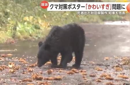 秋田县推出独特‘熊出没’海报，警惕野熊伤人风险！