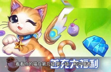 揭秘猫咪世界：六层次等级划分一网打尽！