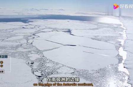 南极洲边缘的阿德利企鹅活跃季来临