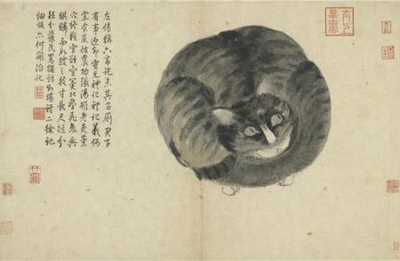 寻猫启示大揭秘：中国猫影集结，为猫咪封官晋爵！