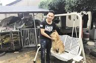 台州夫妻3年救助800流浪猫狗背后的故事