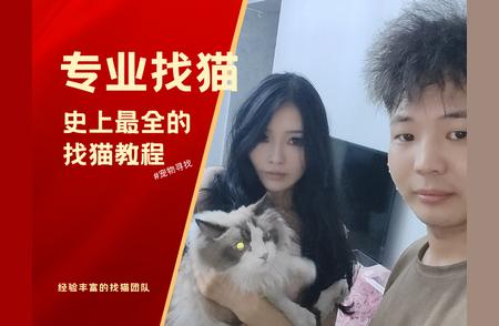 宠物侦探出击：最全面找猫教程，你的寻宠神器！