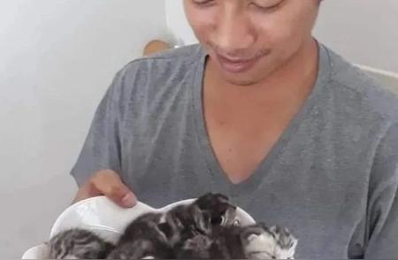 网友偶遇小虎斑猫，一年后的惊喜与挑战
