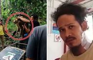 马来西亚男子惨遭宠物猴子疯狂攻击，生死未卜