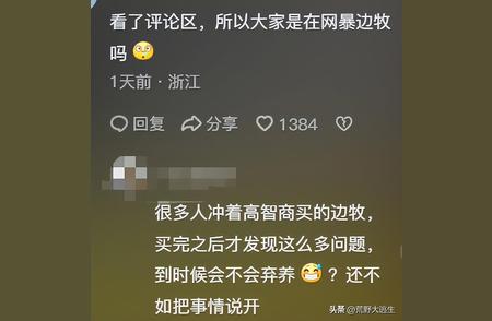 揭秘真相：为何聪明边牧犬鲜有人养？深度解析原因。