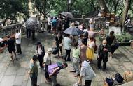 重庆人民公园花鸟市场神秘消失与回归真相揭秘