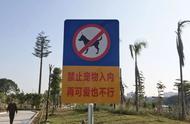 罗定江滨公园严格禁止宠物入内，原因竟是...