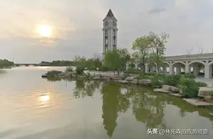 探索山东秘境：东营旅游的独特魅力