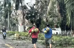 爆笑！台风后的海南人，家虽烂但依然能修出温暖！