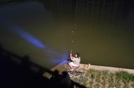 夜钓的魅力：路灯下的钓鱼体验和可能的收获