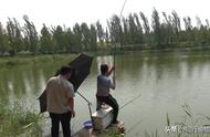 春季钓鱼必备：名门品质，价格亲民的鱼竿！