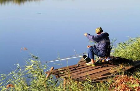 钓鱼大师的秘密揭晓：如何在半小时内捕获二三十条鱼，超乎想象！