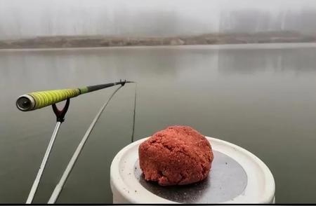 钓鱼技巧：如何快速高效地钓到鱼