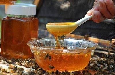 别再在饵料中添加蜂蜜和白酒了，现在知道还不晚，快来了解一下。