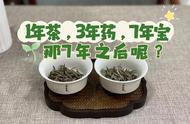 白茶的年份秘密：1年茶，3年药，7年宝，那满7年后呢？