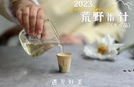 你能分辨太姥银针、头采银针、头采米针、中期针和尾期针吗？