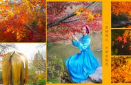 南京的秋色：栖霞山的枫叶红了，宛如童话世界