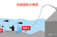 聊城山东禁止使用的渔具，别等到违规才知道后果