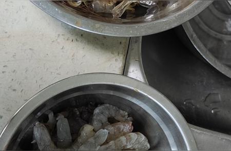 虾仁腌制秘籍：淡水海水通用的万能饵料