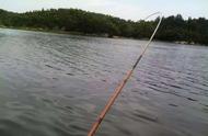 网友疑惑：4米5的鱼竿能钓到多大的鱼？