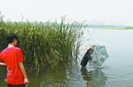 莲石湖惊现大规模非法捕鱼，这种“武器”令人震惊！