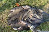 夏季钓鱼神器：这几款谷物饵料配方，轻松钓上10斤大鱼！