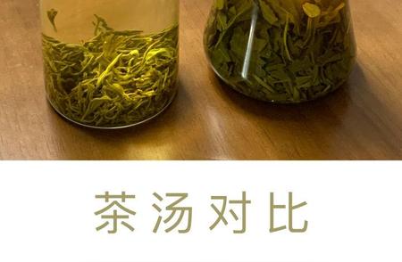 揭秘茉莉花茶失去香气的真相