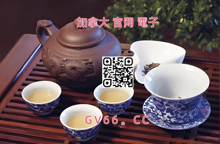 君山银针：品味独特白毛茶的绝佳选择