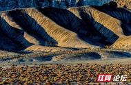 新疆的“火星地貌”：大自然的神秘奇迹
