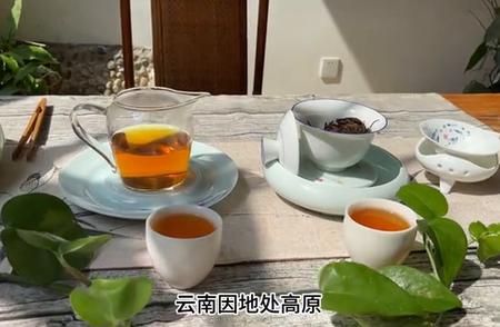 尝鲜必备：2024年凤庆滇红茶特级毛峰春茶盛宴