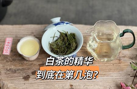 白茶冲泡技巧揭秘：一泡二泡洗茶水，三泡四泡是精华