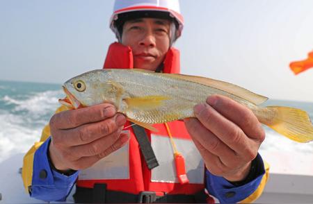 浙江省发布《指导意见》以规范海钓活动