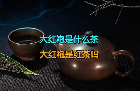 大红袍茶叶的品种特性及鉴别方法