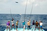 海钓中如何有效避免杂鱼干扰？