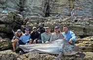 澳大利亚钓鱼高手，捕获一条2.5米长、重达176公斤的巨鱼，刷新世界纪录！