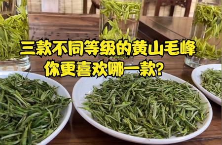 探索黄山毛峰的不同等级：哪款最得你心？