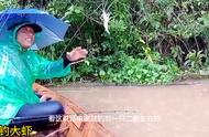 雨中河畔，小伙展示钓罗氏沼虾的绝技