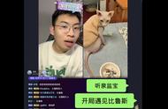 奇特猫咪行为大揭秘，让你笑到肚子疼！