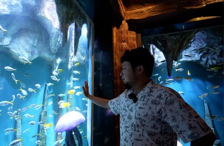 水族馆运营揭秘：专业挑刺攻略大揭秘