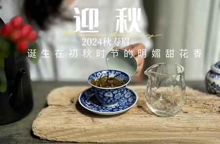 初学者必知：如何选购好喝的白茶——散茶与饼茶的选择攻略