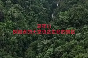 哀牢山探险：揭开神秘面纱的背后