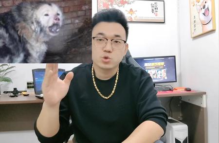 犬种霸主：鬼獒的传奇故事